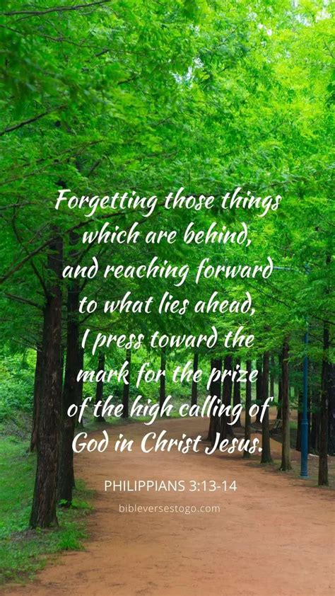filipos 3 13-14|Philippians 3:13.